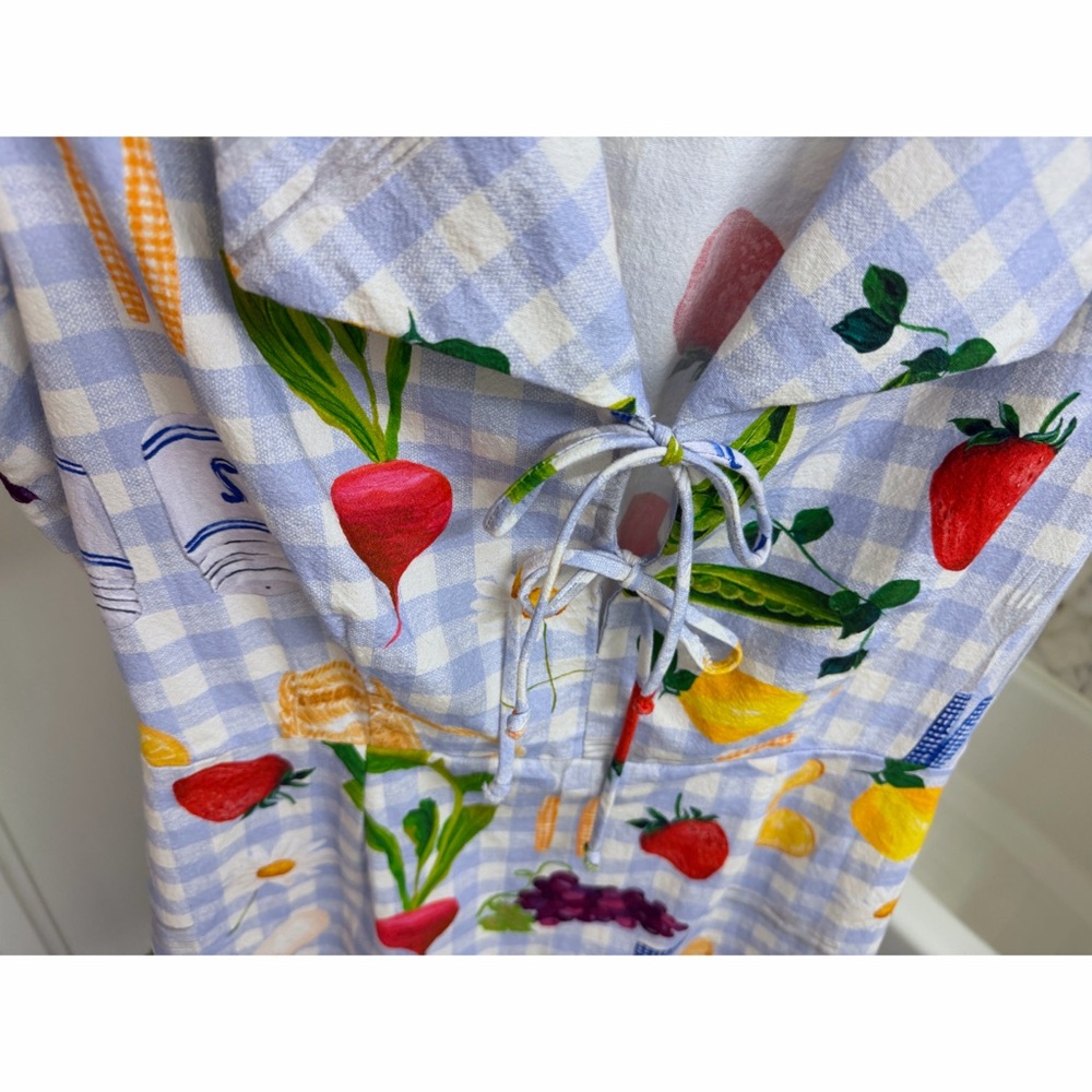 Lisa Says Gah Alexa Picnic Alfresco Mini Shirt Dress Blue Gingham Food L - Picture 7 of 16